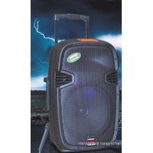 Outdoor Speaker 12 Inch Louderspeaker with CE Certificate (F413)